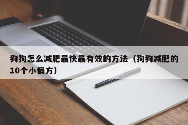 狗狗怎么减肥最快最有效的方法(狗狗减肥的10个小偏方)