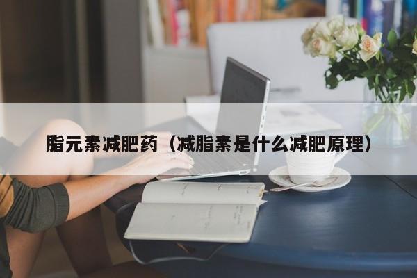 脂元素减肥药(减脂素是什么减肥原理)