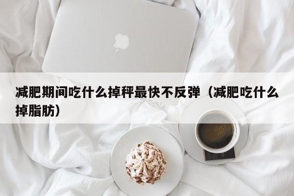 减肥期间吃什么掉秤最快不反弹(减肥吃什么掉脂肪)
